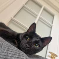 Photo of Neo