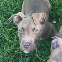 Photo of Billy B