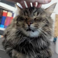 Photo of Wax & Wayne