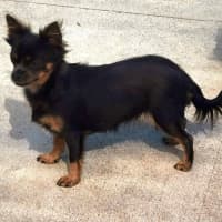 Photo of Evie