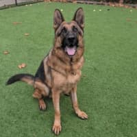 Photo of Zeus