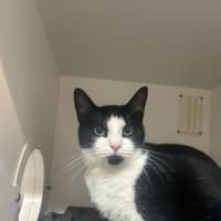 Photo of Daisy