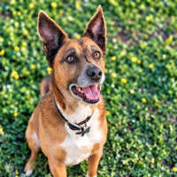Photo of Bear 