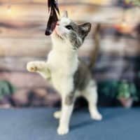 Photo of Lilly   Located In Brunswick East