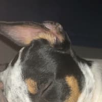 Photo of Jack