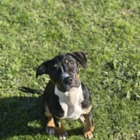 Photo of 🧭 Freddie 6359 🧭