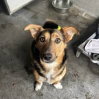 Photo of Wally