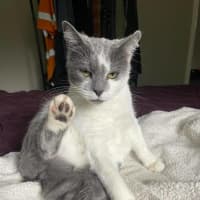 Photo of Donna