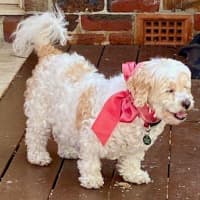 Photo of Bella Wensleydale