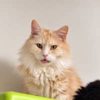 Photo of Hugo