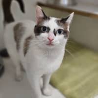 Photo of Bandit 