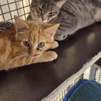 Photo of Captain! 🏴‍☠️ 