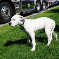 Photo of Nyx