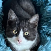 Photo of Pinky