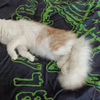 Photo of Dj