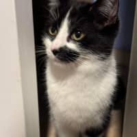 Photo of Hank & Halle