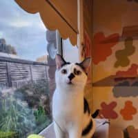 Photo of Charlie