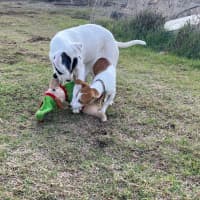 Photo of Tia Leighdara