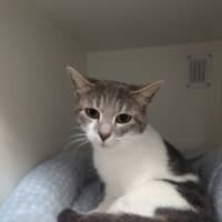 Photo of Crystal
