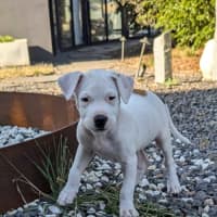 Photo of The Ranges Litter (Part 2)