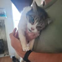 Photo of Squeak