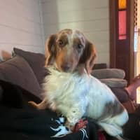 Photo of Willy