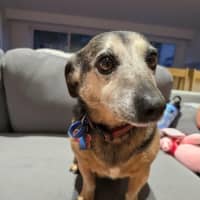 Photo of Barney Lozano