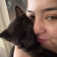 Photo of Gotham **2nd Chance Cat Rescue**