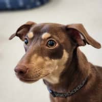 Photo of 🥨 Hilde 5390 🥨