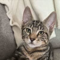 Photo of Peter & Griffin 