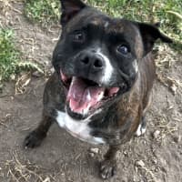 Photo of Lola