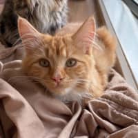 Photo of Lenny