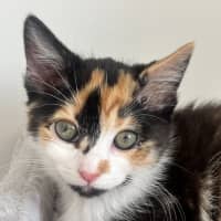 Photo of Tori