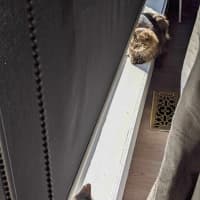 Photo of Felicity 🌹