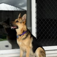 Photo of Darla