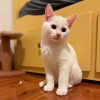 Photo of Evacuation Plan