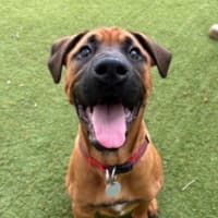 Photo of Sully