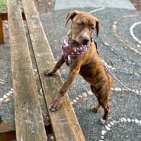 Photo of Cleo