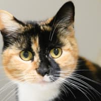 Photo of Esmeralda