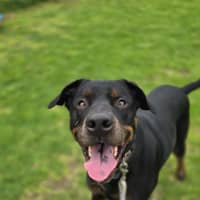 Photo of Charlie   64056