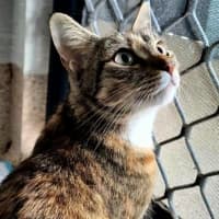 Photo of Quinn