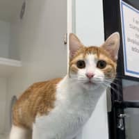Photo of Molly