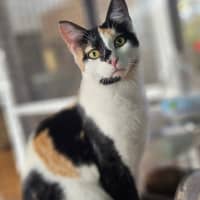 Photo of Isobel