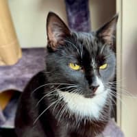 Photo of Charlie