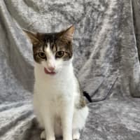 Photo of Hank & Halle