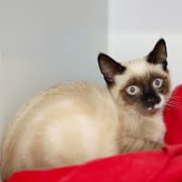 Photo of Charlie
