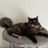 Photo of Hazel