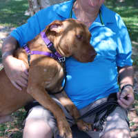 Photo of Gus