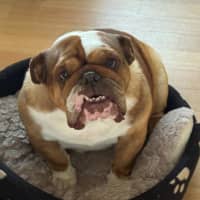 Photo of Sally And Jessie Wensleydale