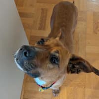 Photo of Athena
